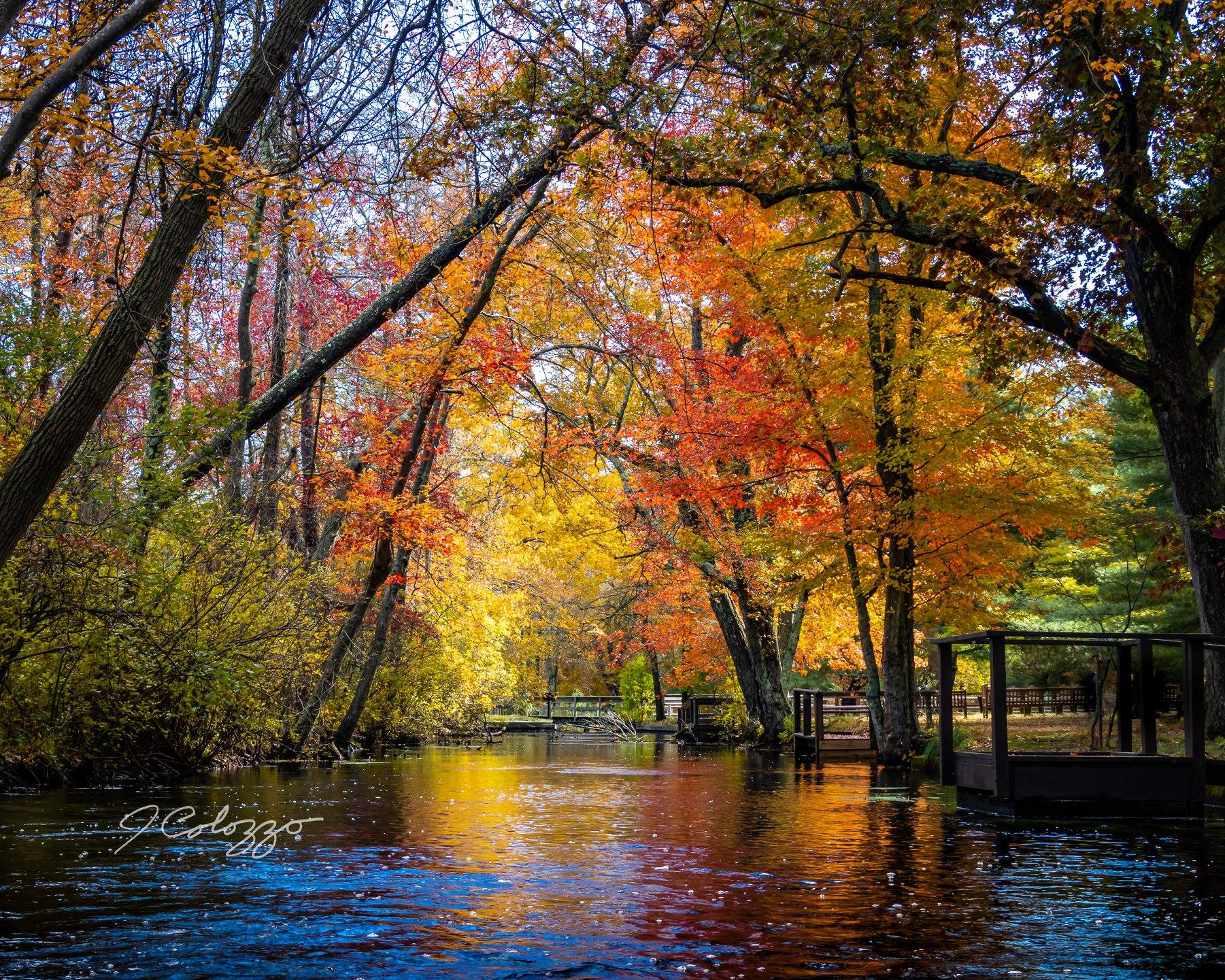 Best of the Long Island Sun Chasers: Autumn Colors Edition - Fire ...